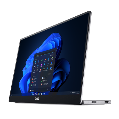 Portable monitor 7 Jul copy